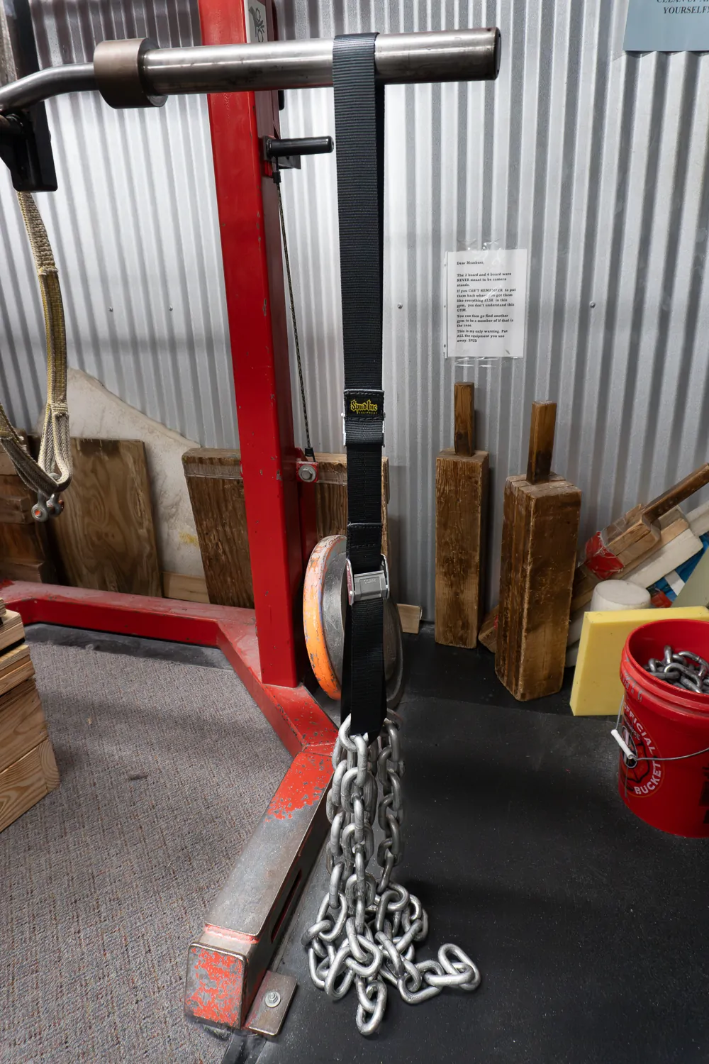 5 Rings Chain Belt - Image 4