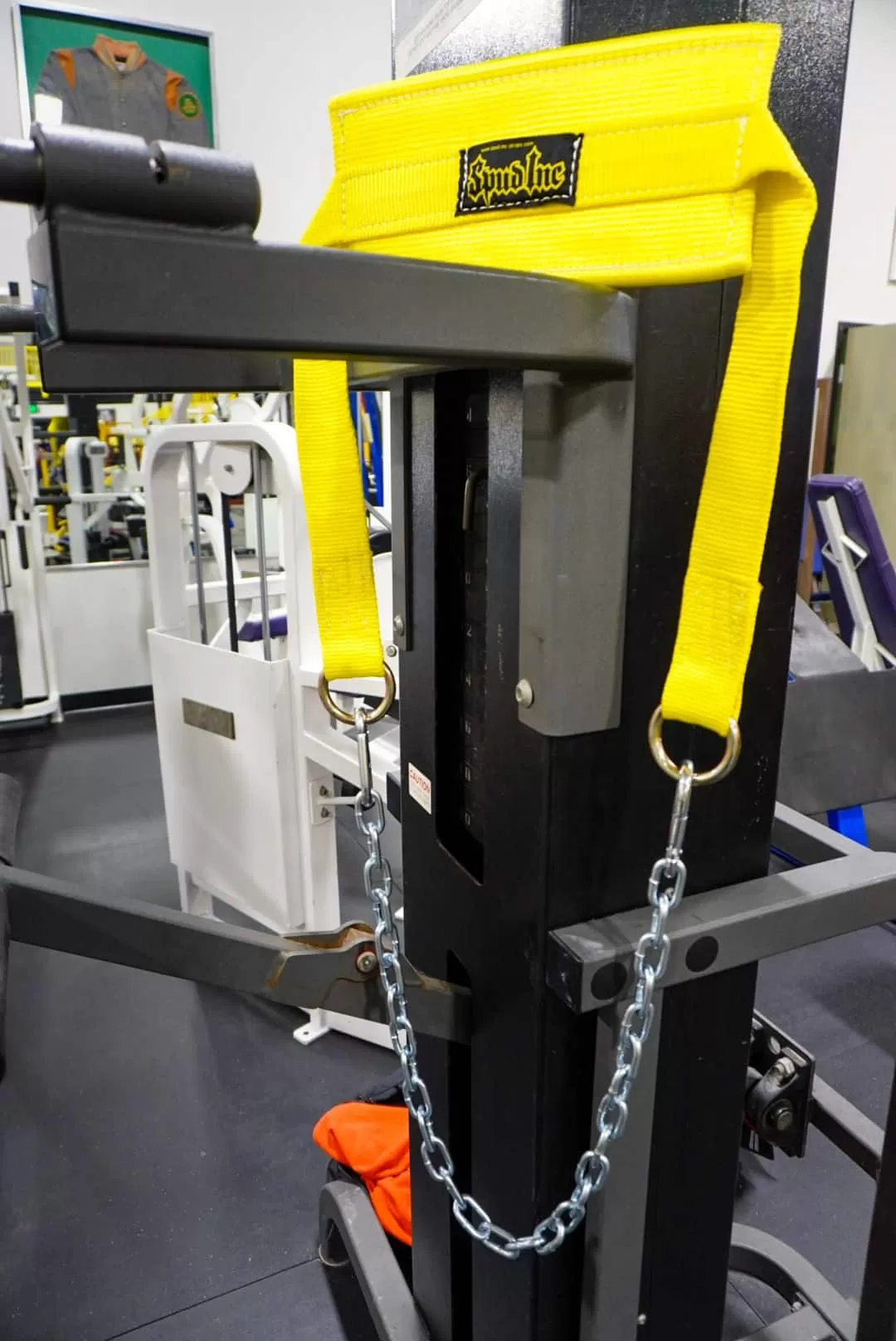 The Big Dipper - Image 3