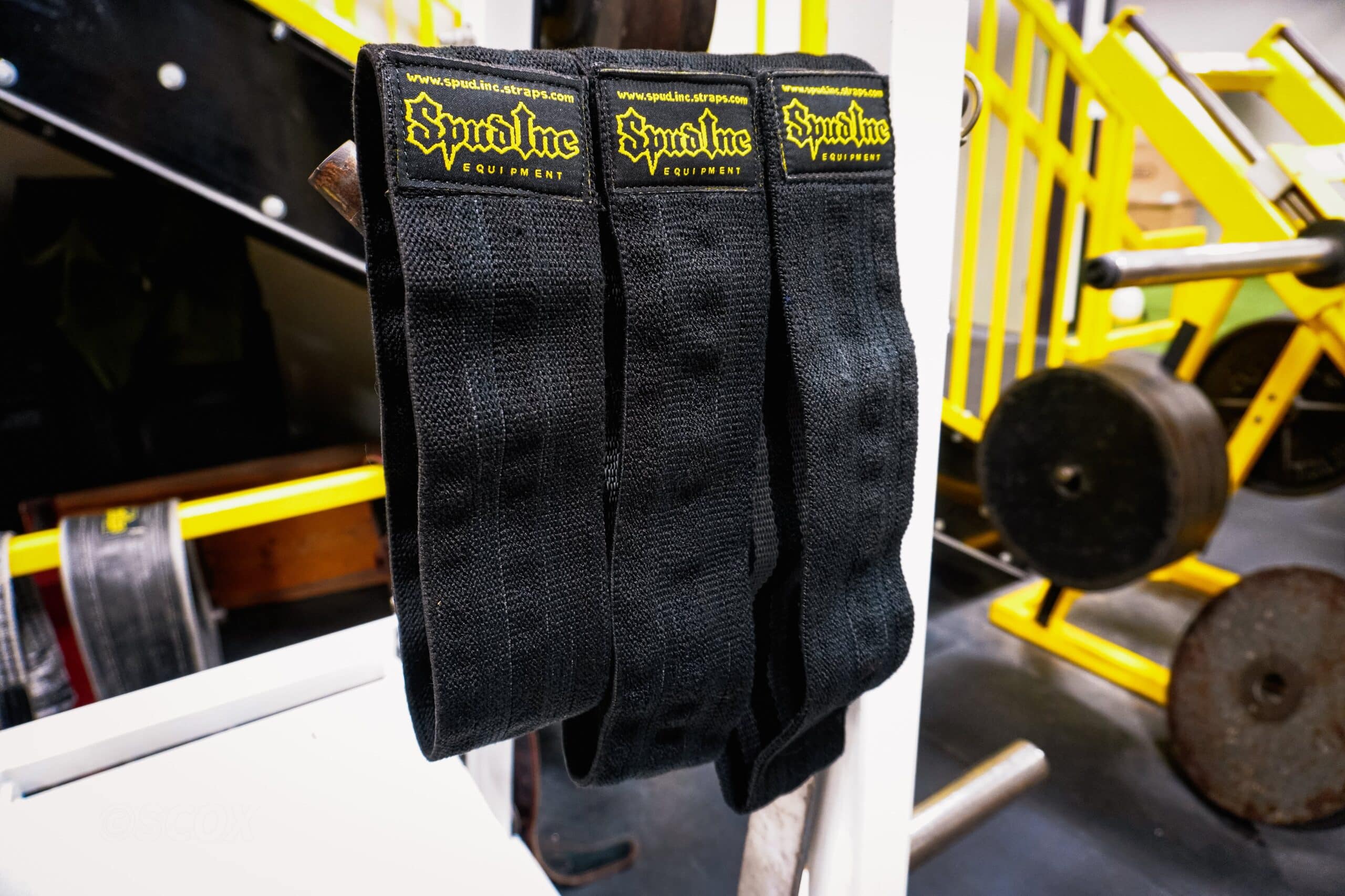 Ring of Fire Bands - Black w/ Textured Inner Rings - Image 7